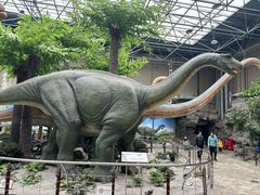 -国家自然博物馆