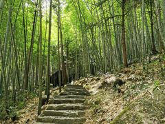 -百杖潭景区