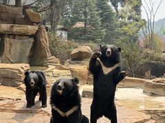 -昆明动物园
