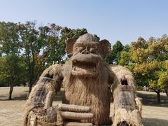 -嘉北郊野公园