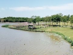 -东滩湿地公园观海楼餐厅