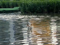 -和美电影艺术中心(万国城店)