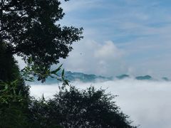 -少华山国家森林公园