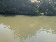 -大湾区中央湿地公园