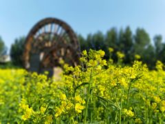 -长春公园(普阳街道)