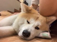 -YCHL Studios健身工作室(市二宫店)