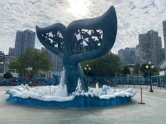 -海合安成都极地海洋公园