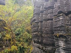 -梭布垭石林景区