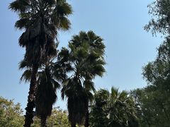 -大亚湾红树林城市湿地公园
