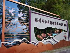 -微山湖红荷湿地景区
