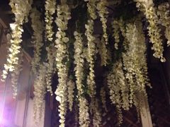 iphone_upload_pic-燕庭·纯燕窝·甜品下午茶(南京西路店)