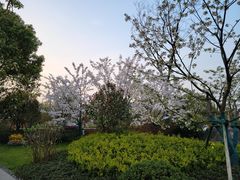 -雅达·阳羡溪山小镇中心