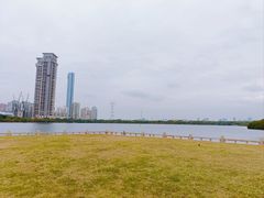 -白鹭洲公园