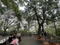 -纯真年代书吧(宝石山店)