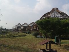 -阳光海岸露营公园