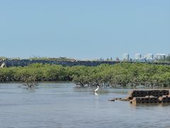-北海金海湾红树林生态旅游区