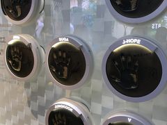 -乐天免税店(明洞店)