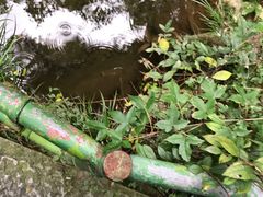 -山沟沟景区