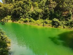 -广州市流溪河国家森林公园