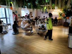 -Husky Go! 哈士奇体验馆·宠物咖啡厅狗咖