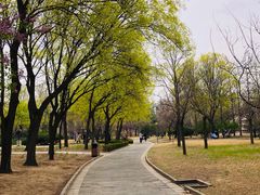 -北京世界公园