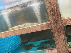 -码头鲜精致威海菜(欧乐坊店)