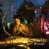 这个被吐槽得很惨的展居然没有让我失望