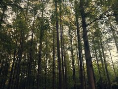 -河南省黄河迎宾馆