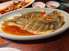 -前海沿·青岛菜(五四广场永旺店)