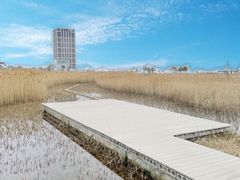 -鹦鹉洲湿地公园