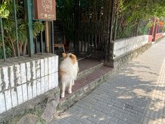 -豆舞咖啡(民乐路店)