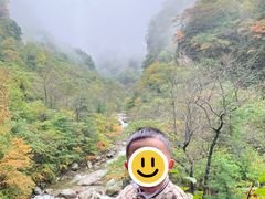 -青峰峡国家森林公园