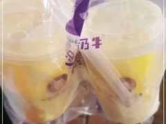 -一只酸奶牛(八一路店)