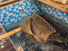 -九寨沟石锅鱼(沣峪口店)