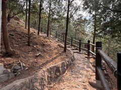 -北京十三陵国家森林公园蟒山景区