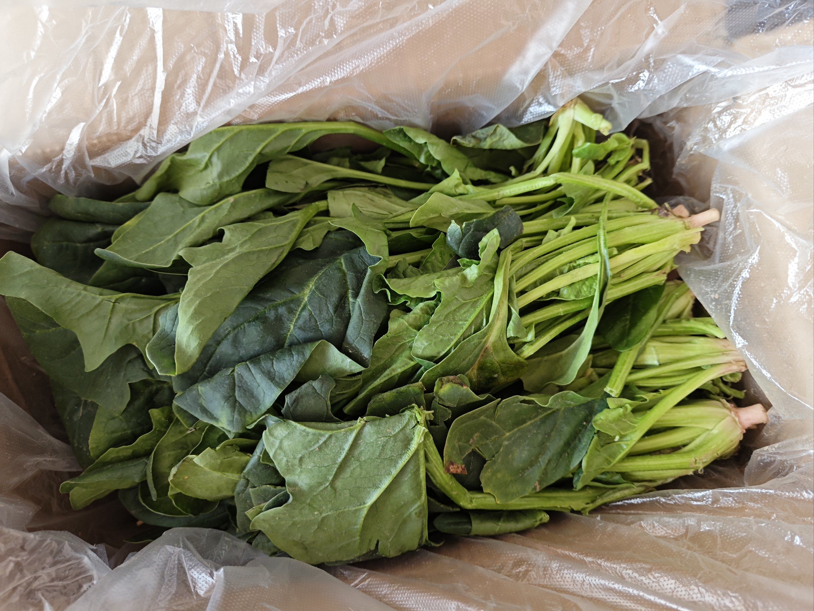 春天的蔬菜买起来