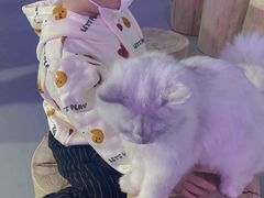 -极木²邸 人与宠物·互动社区