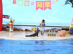 -三亚海昌梦幻海洋不夜城