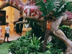 -宁波杉井奥特莱斯广场