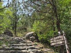 -阳台山自然风景区