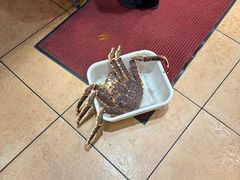 -海儀美食楼(湾仔海鲜街店)