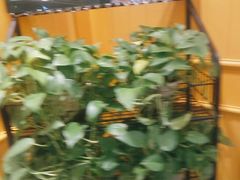 -东方豪客牛排意面披萨(金凤万达店)