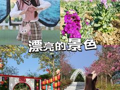 -盈香心动乐园