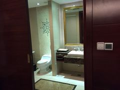 圣爵菲斯大酒店-圣爵菲斯大酒店(长沙世界之窗店)