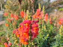 -花溪公园