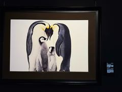 -罗红摄影艺术馆