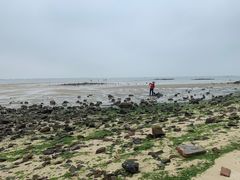 -北海金海湾红树林生态旅游区