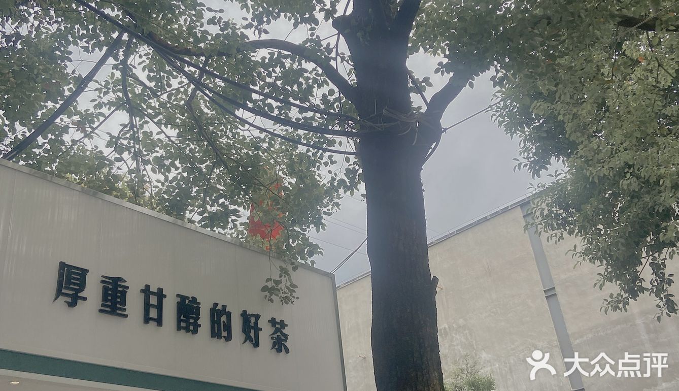 ▪️佛山探店|啡瘾患者推介A+srilanka☕️