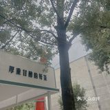 ▪️佛山探店|啡瘾患者推介A+srilanka☕️