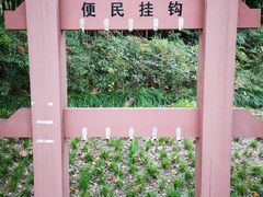 -新江湾城公园